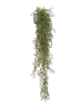 Artificial String of Hearts Trailing Vine 100cm (3ft)